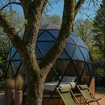 Giorgi - Centre 3* باستونيا