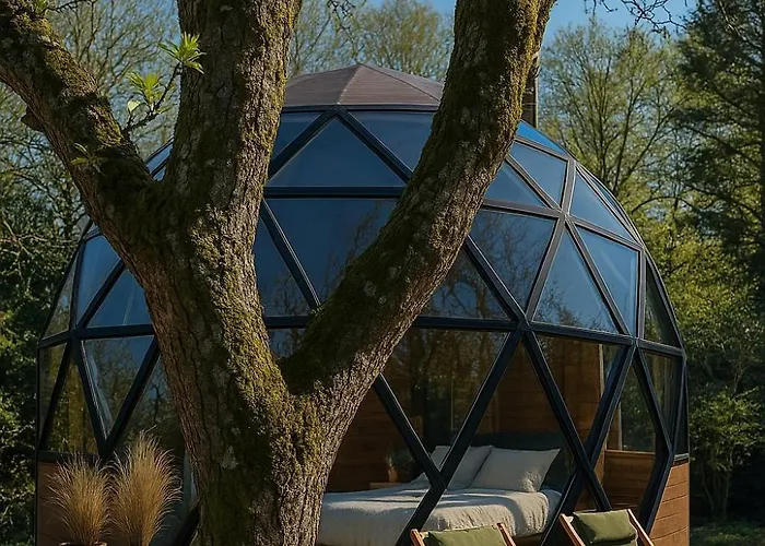 Giorgi - Centre 3* バストーニュ